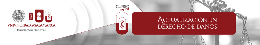 Curso online Derecho de&nbsp;Daños